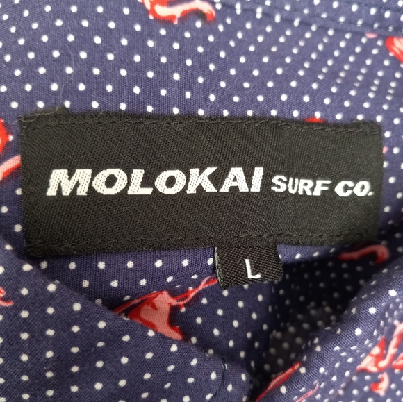 Men's Molokai Short-Sleeved Button Down Casual Blue and Pink Size L - Picture 4 of 4
